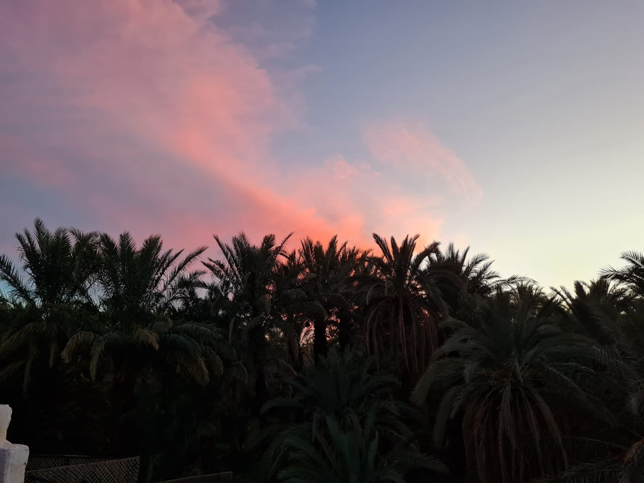 Zagora, la rosa del deserto